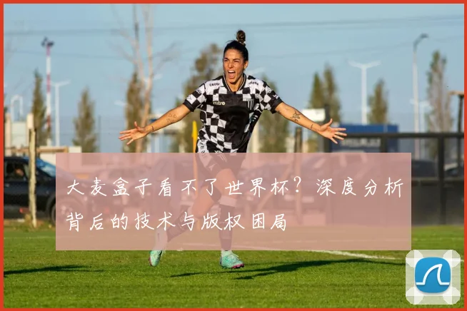 大麦盒子看不了世界杯？深度分析背后的技术与版权困局