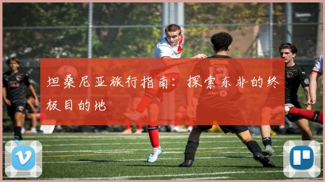 坦桑尼亚旅行指南：探索东非的终极目的地